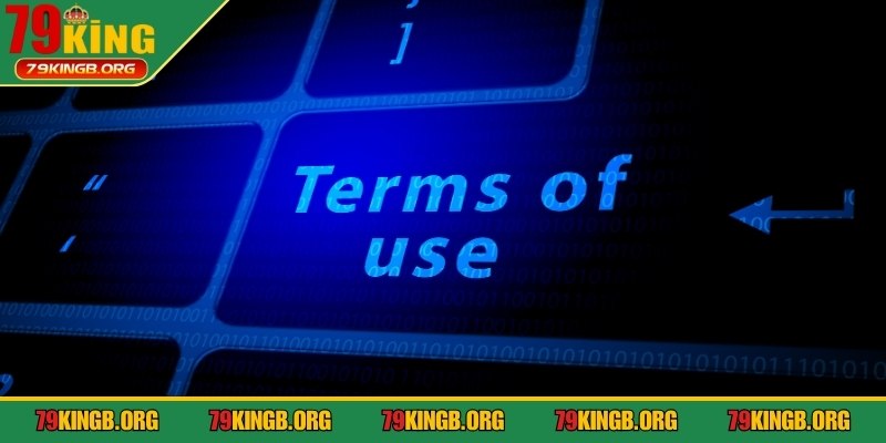 Điều khoản sử dụng thể hiện rõ cam kết dịch vụ