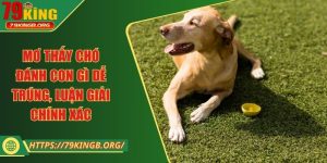 Mơ thấy chó đánh con gì dễ trúng, luận giải chính xác